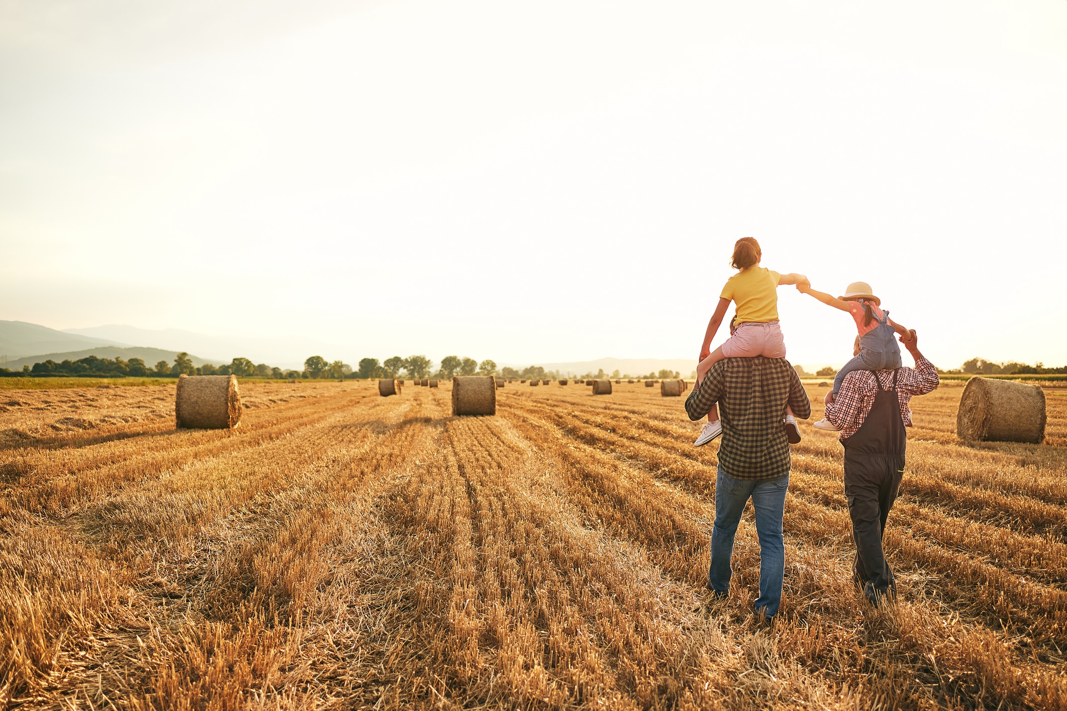 Joyful adorable playful sisters having fun with their grandfather and father on a family wheat field at the country side